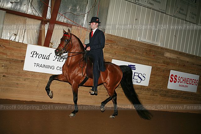 Proof 06spring_0241