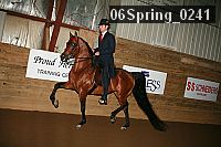 06spring_0241 proof