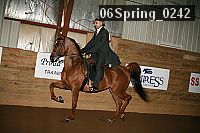 06spring_0242 proof