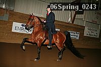 06spring_0243 proof