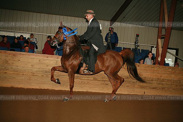 Proof 06spring_0244