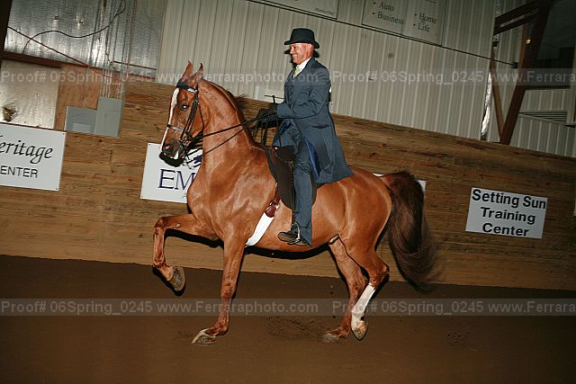 Proof 06spring_0245