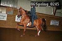 06spring_0245 proof