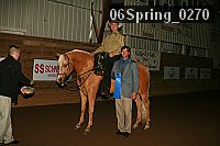 06spring_0270 proof