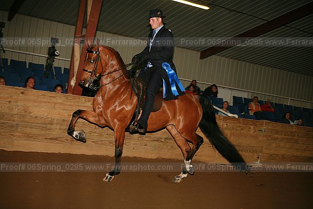 Proof 06spring_0285