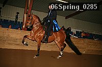 06spring_0285 proof