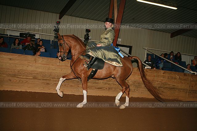 Proof 06spring_0290