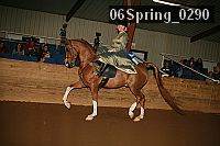 06spring_0290 proof