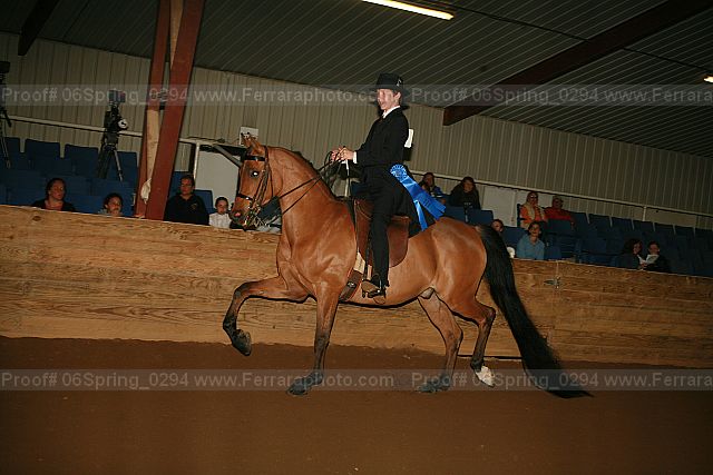 Proof 06spring_0294