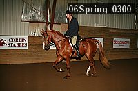 06spring_0300 proof
