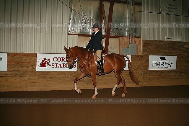 Proof 06spring_0301