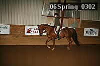 06spring_0302 proof