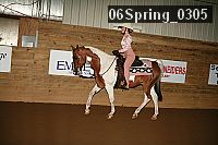 06spring_0305 proof