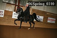 06spring_0310 proof