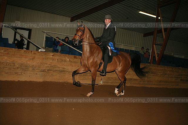 Proof 06spring_0311