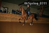 06spring_0311 proof