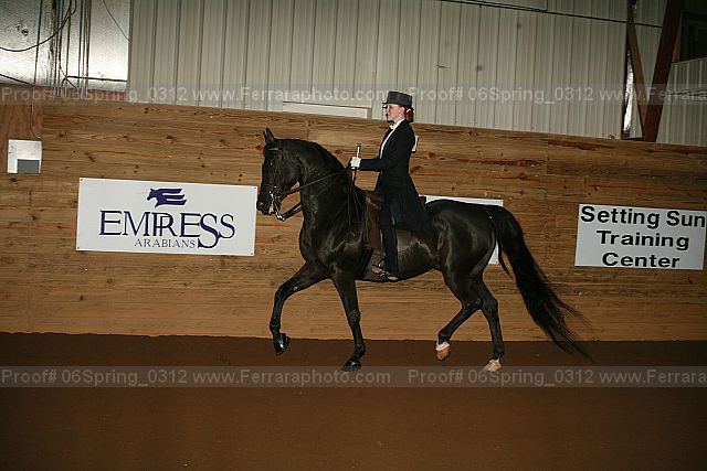 Proof 06spring_0312