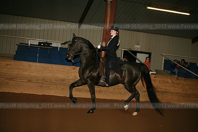 Proof 06spring_0313