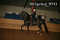 06spring_0313 proof