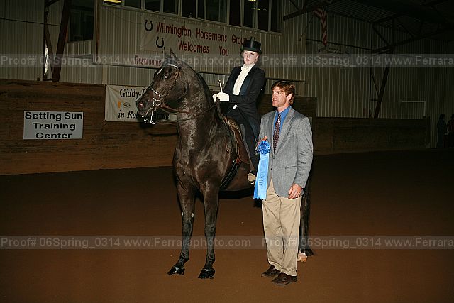 Proof 06spring_0314