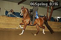 06spring_0316 proof