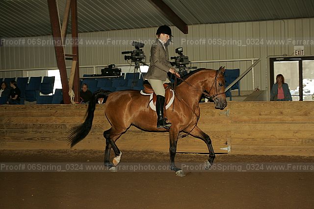Proof 06spring_0324