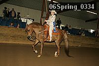 06spring_0334 proof
