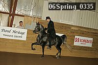 06spring_0335 proof