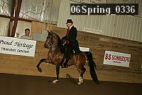 06spring_0336 proof