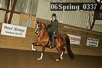 06spring_0337 proof