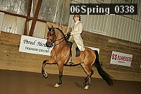 06spring_0338 proof