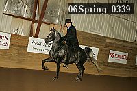 06spring_0339 proof
