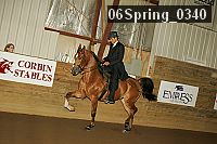06spring_0340 proof