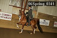 06spring_0341 proof