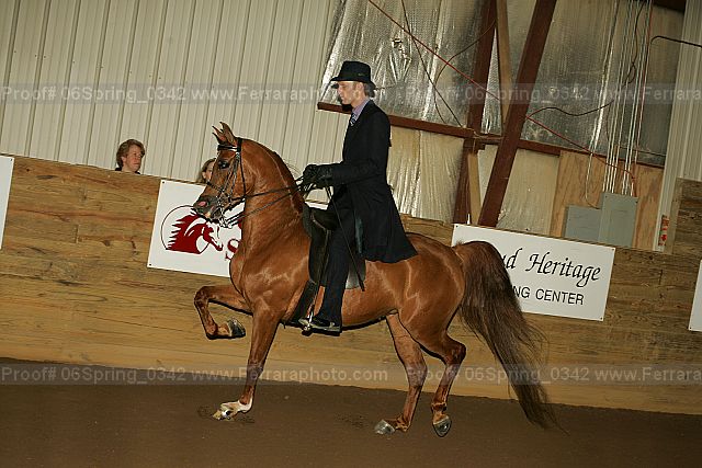 Proof 06spring_0342