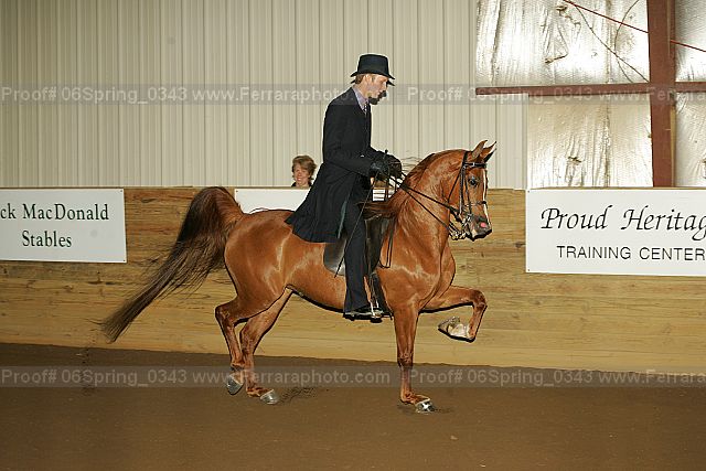 Proof 06spring_0343