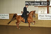 06spring_0343 proof