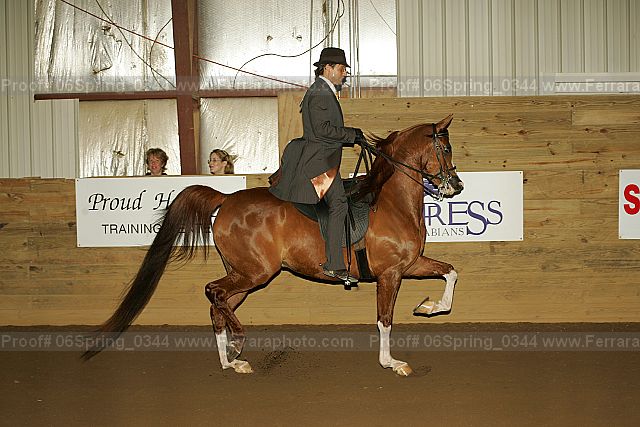 Proof 06spring_0344
