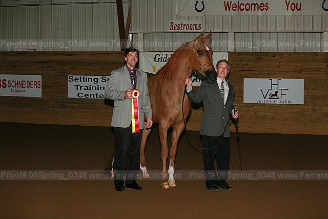 Proof 06spring_0348