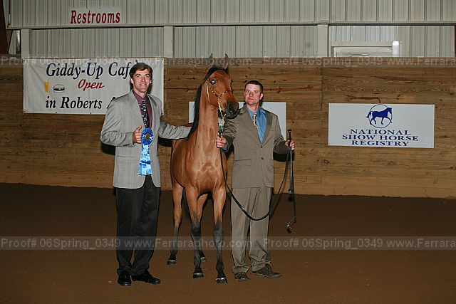 Proof 06spring_0349