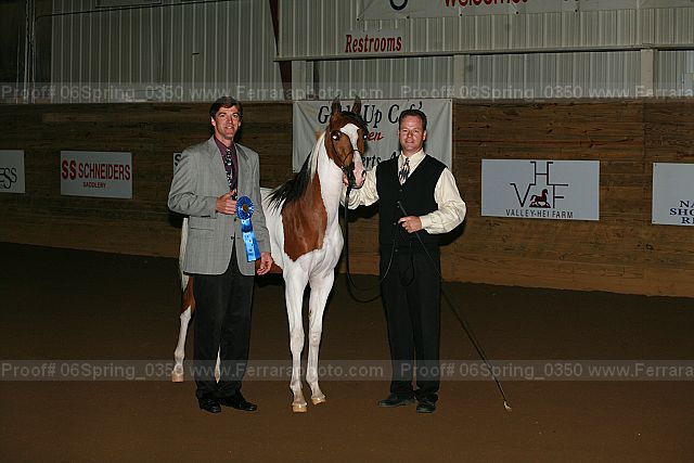 Proof 06spring_0350