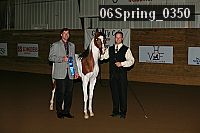 06spring_0350 proof