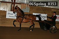 06spring_0353 proof