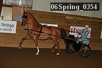 Proof 06spring_0354