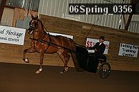 06spring_0356 proof
