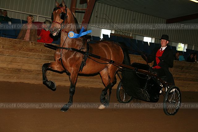 Proof 06spring_0359