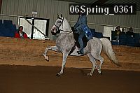 06spring_0361 proof