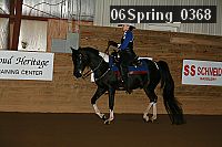 06spring_0368 proof