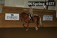 06spring_0377 proof