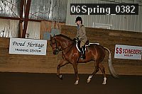 06spring_0382 proof